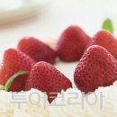 하버파크호텔 이미지