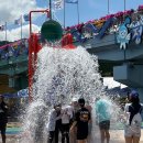 분수광장 관광안내소(비상설) | 2026 정남진 장흥 물축제 후기 전남 물놀이장 물총 프로그램 공연