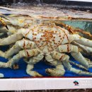 종합수산시장 이미지