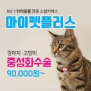 마이펫동물병원 이미지