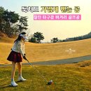 보이스 | 보이스캐디 골프공 후기 찰진 타구감과 비거리