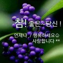 6월.26일.간추린 뉴스. 이미지