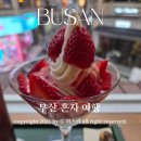 더샵 아이스크림 | 부산 혼자 여행 전포 카페 투어 서면 산책 (데이오프데이 고더샵)