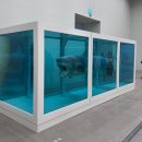 미술관(문화공장오산) | 국립현대미술관 데미안 허스트 전시 평일 방문 후기 | 충격 알고 가면 좋은 이야기들