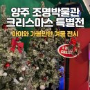 나무가 들려주는 환경이야기 | 양주 조명박물관 Ⅱ_상설·기획전시 후기:: 조명의 역사와 빛 이야기