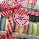 더마카롱 이미지