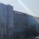 내돈내산 50년전통 서울 3대빵집 백년가게 나폴레옹본점 후기