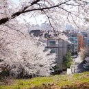 이선봉 묘역 이미지