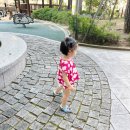 1558 | 857) 7/28~31 1558~561, 757~60 안남매의 슬기로운 여름방학/ 운문댐 나들이/ 조단 놀러온 날/ 밀양...