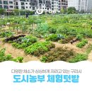 구리시 [🌿도시농부 체험🌱텃밭] 다녀온 후기