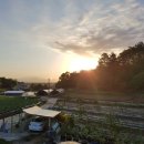 비당농장 이미지