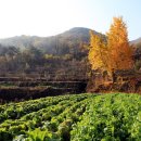 고향풍경 이미지