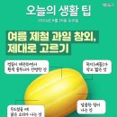 6월 26일 수요일 간추린 뉴스와 날씨 이미지