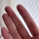 한인숙 헤어 | 보홀 PADI 스쿠버 다이빙 한인샵 디퍼다이브 후기(오픈워터+어드밴스드 오픈워터) + 접수/교육/생활...