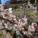 순천자연휴양림 이미지