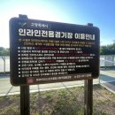 지도인라인경기장 이미지