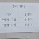 WITTY PUPPY 이미지