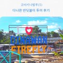 다나트립 | 다나완 반딧불이 투어 후기 (무료 시티투어와 맹그로브 노을까지)