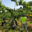 사암1리 이미지