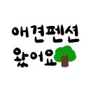 태안 알로하오에 애견풀빌라 이미지