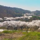 호수펜션 이미지