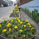 우만1동주민센터 이미지