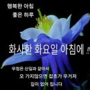 화요일 - 안양시 동안구 동편로27번길 26-12 | 화요일