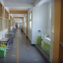 대치초등학교 이미지