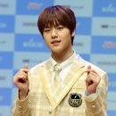 도현