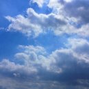 (주)푸르네 이미지