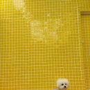 하비펫샵 이미지