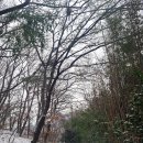 위메디팜 이미지