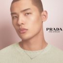 비쥬슈슈 | 일요일이라...