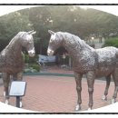 소청우체국 이미지