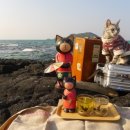 협재 바다의 선물 이미지