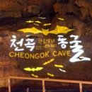 동해 가볼만한곳 은하수 조명 천곡황금박쥐동굴 이미지