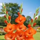 행복한아침 이미지