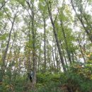 미래자원 이미지