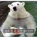 (주)미진1954 이미지