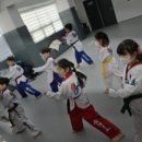 인성품태권도장 이미지