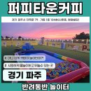 청암빌딩 | [애견 놀이터] 강원 춘천 반려견 테마파크'강아지숲' 애견 수영장 운동장 복합시설