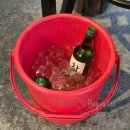 집밥연구소 하양본점 | 하양역 맛집 듬성 경산하양본점 구워주는 고깃집 육즙가득 목살 후기