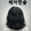 헤어앤숲