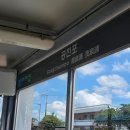 남원읍-77 | [제주 서귀포 맛집] 현정이네 | 제주식 접짝뼈국 존맛 내돈내산 후기