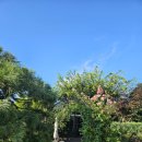 낙조11번가 이미지