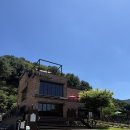 삼육사로31 | 서울근교 동두천 실내 넓은 애견카페 강아지 수영장 오도독