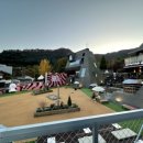 미앤마이독스 이미지