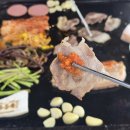 이도초등학교 | 제주 이도이동 맛집 제주시청 고기집 | 제주돈품