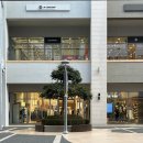 땅땅치킨 신음점 이미지