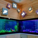 무주반디유치원 이미지